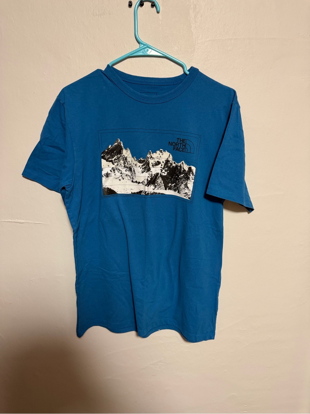 The North Face Men's Teal-Blue Mountain Graphic Short Sleeve Tee